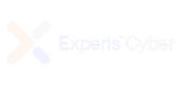 experis cyber